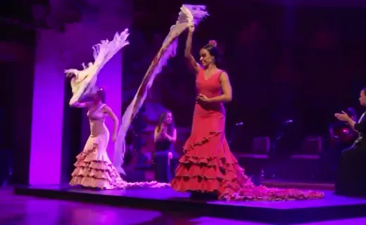 Guitar and Flamenco Night